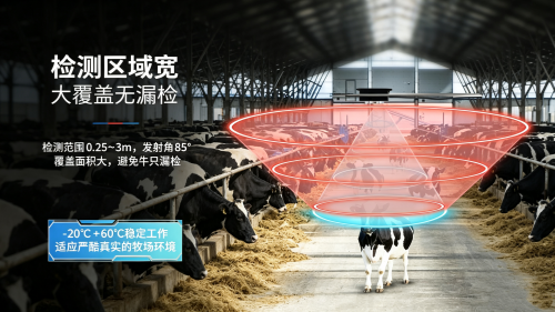 图片比例调整 (1)_副本.png