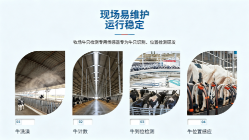 图片比例调整 (3)_副本.png