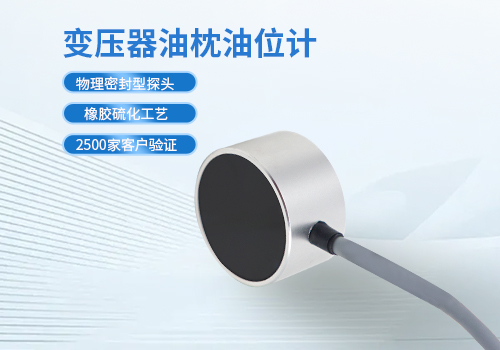 变压器油枕油位计 变压器油枕油位计