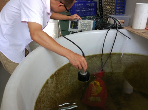 上官昌烁测量北京浩普中兴的测深仪20170705 (11)_副本.jpg